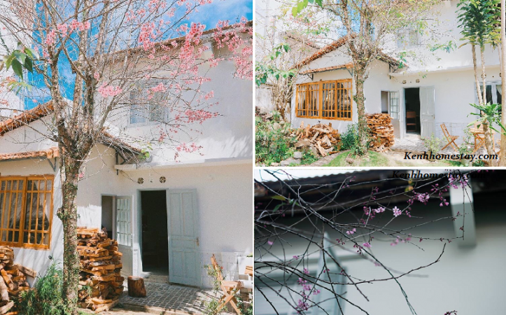 homestay-emai-dalat-1.png